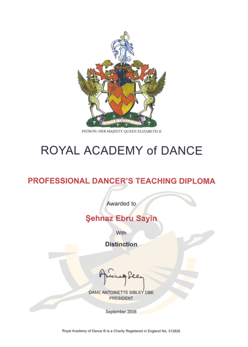 Ballet Schools Tarabya Atasehir Istanbul