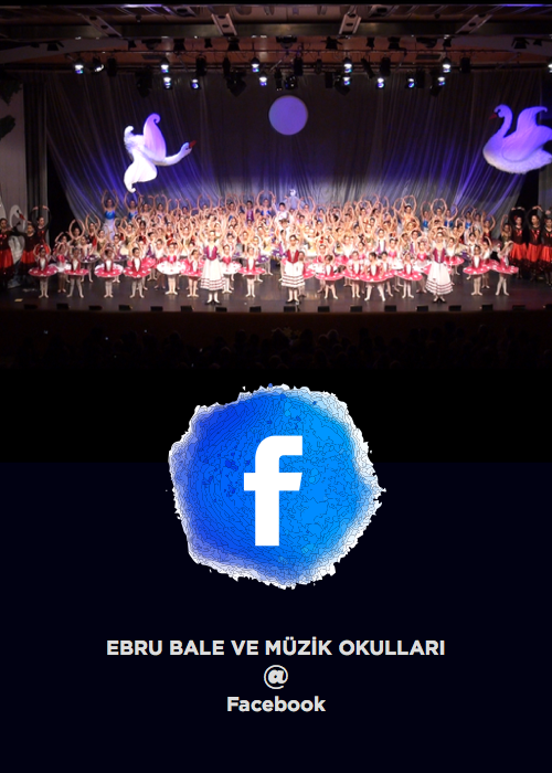 Facebook'ta Bale Okulu Resimleri Videolari